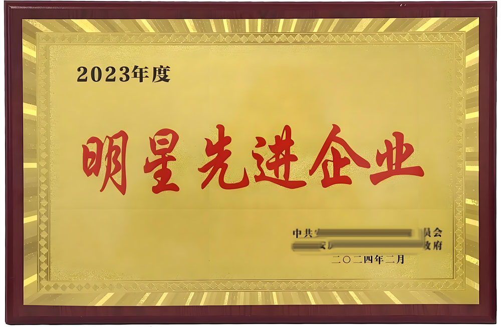 明星先进企业
