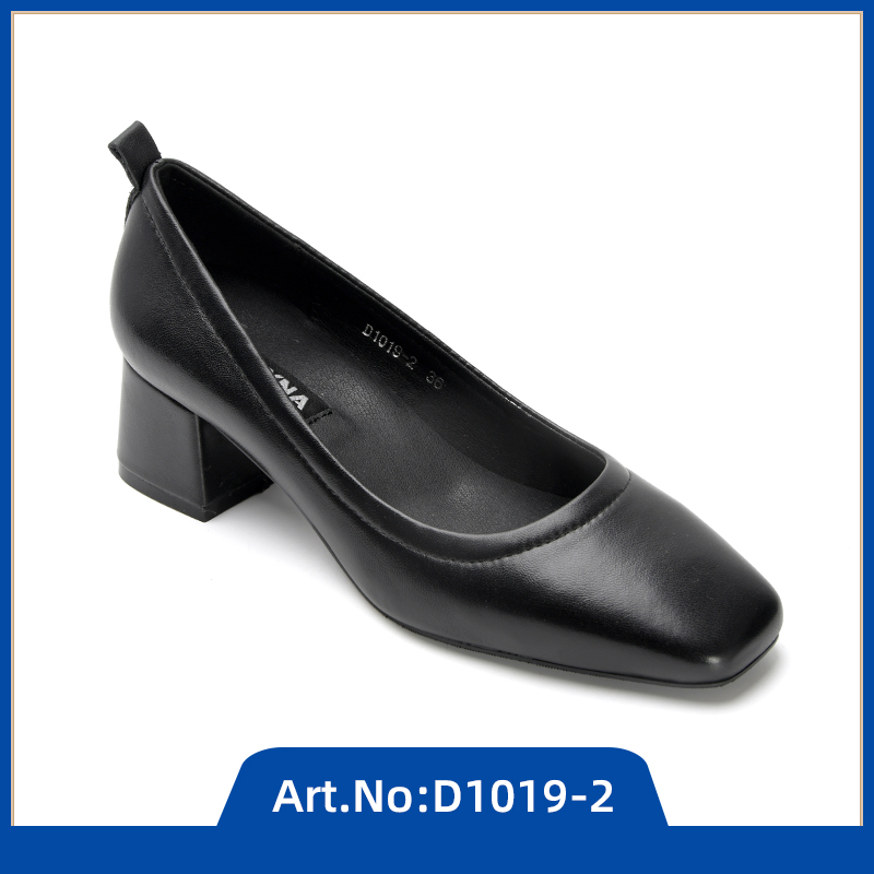 D1019-2
